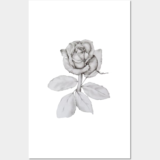 Rose Drawing Wall Art by caroberte